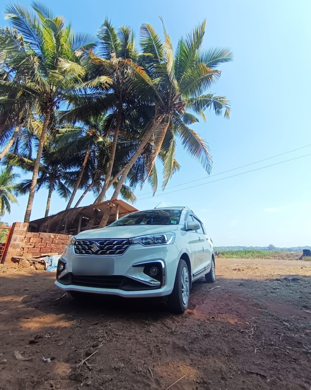 Ertiga under coconut palms on a Konkan road
